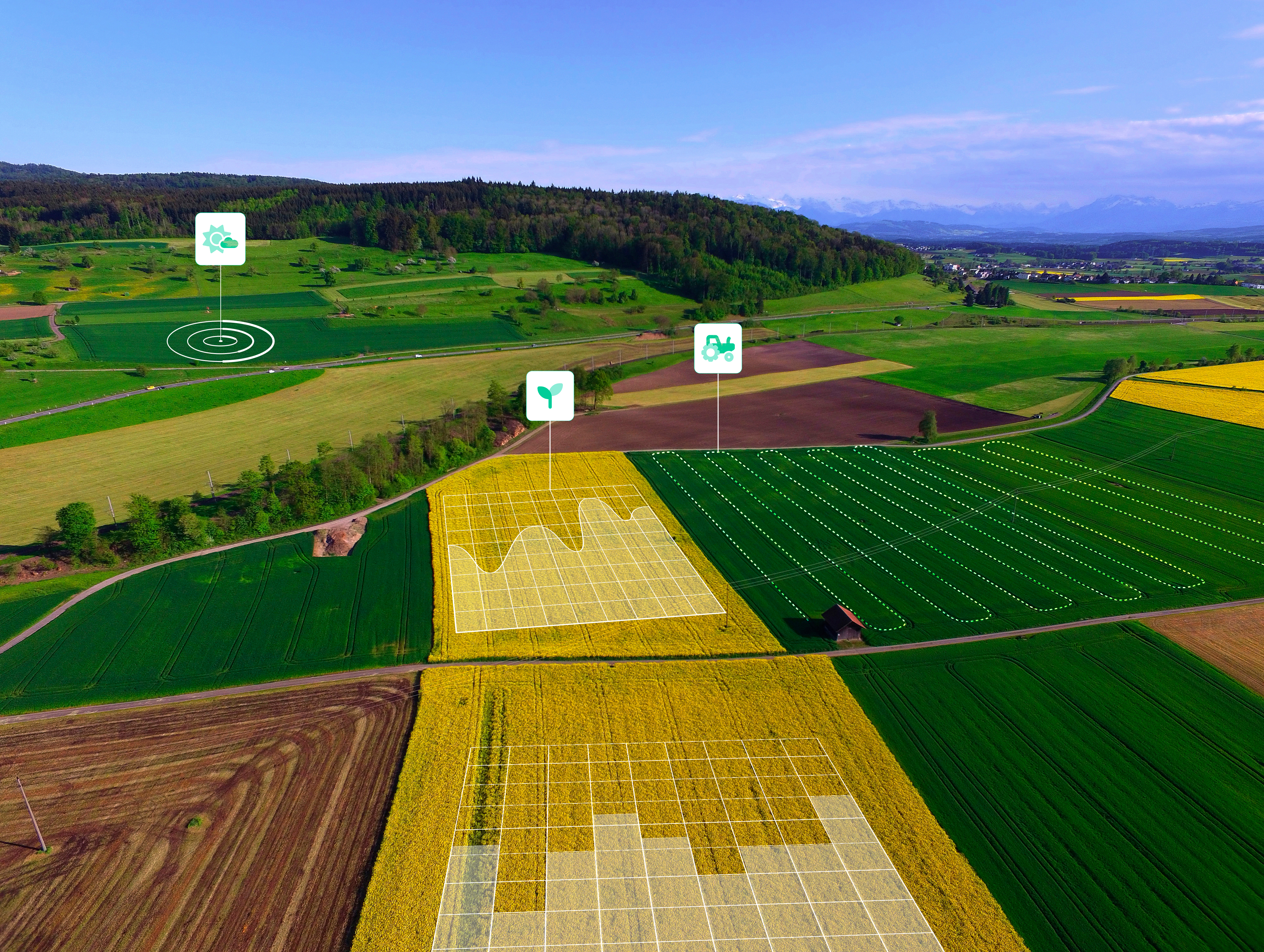 5 Ways AI Will Improve Agriculture In 2024   1033 Leaf 