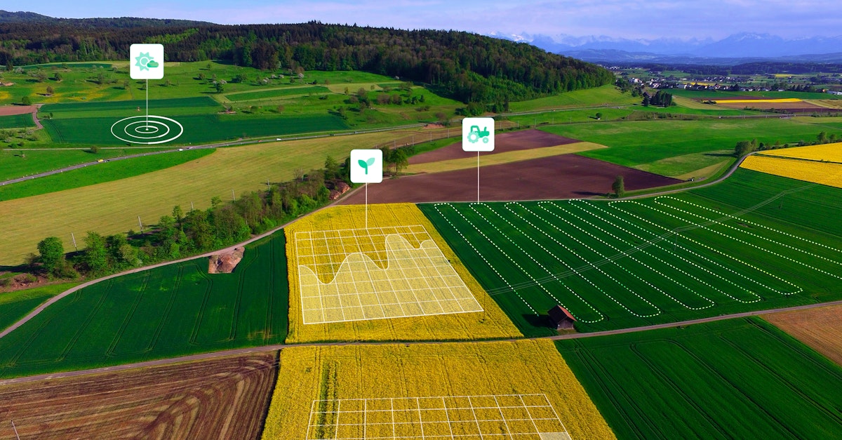 5 Ways AI will Improve Agriculture in 2024