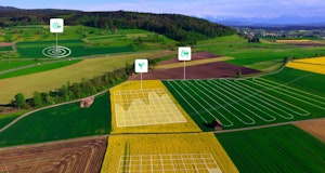 5 Ways AI will Improve Agriculture in 2024
