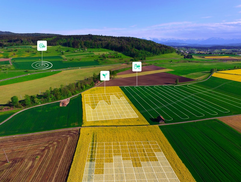 5 Ways AI will Improve Agriculture in 2024