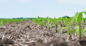 Why should you consider releasing products before this planting season?
