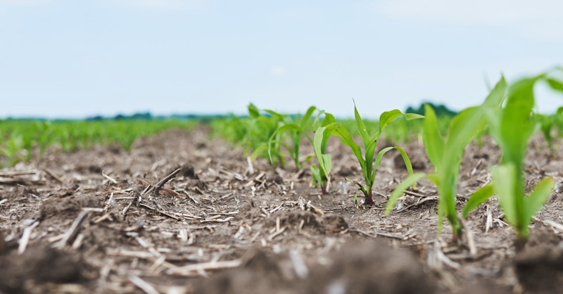 Why should you consider releasing products before this planting season?