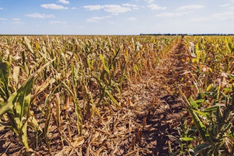 Leaf | Data infrastructure for agriculture