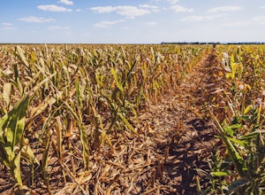 Leaf | Data infrastructure for agriculture