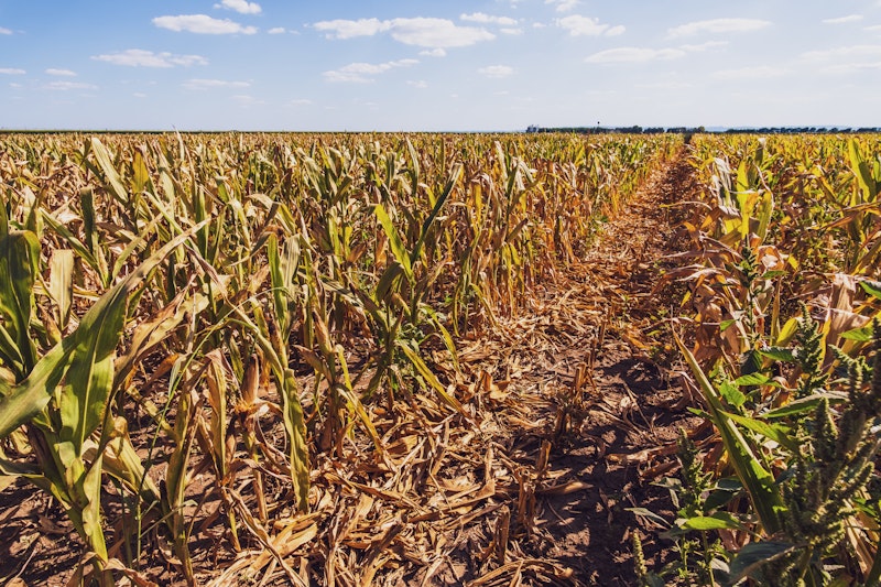 3 Reasons to Use More Data in Crop Insurance