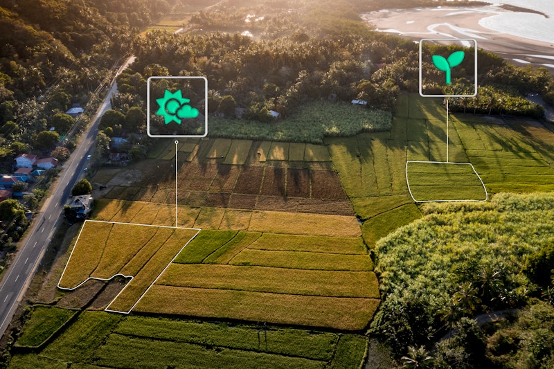 Digital Transformation in Agriculture