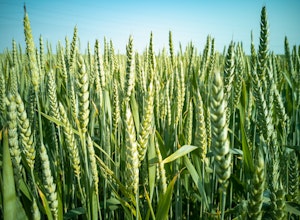 Leaf | Data infrastructure for agriculture
