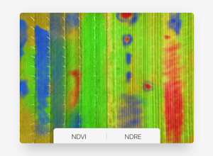 Leaf | Data infrastructure for agriculture