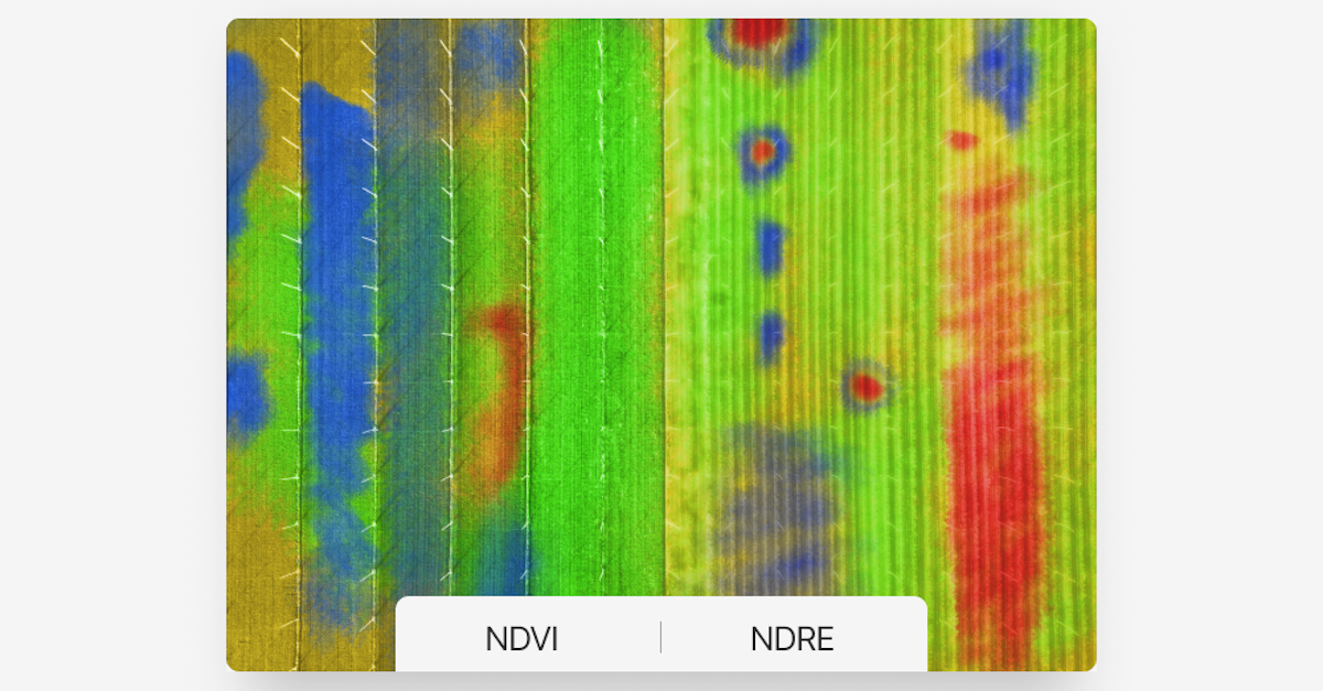 Crop Monitoring - NDVI vs NDRE