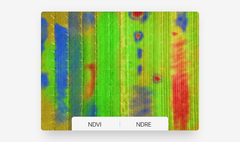 Crop Monitoring - NDVI vs NDRE