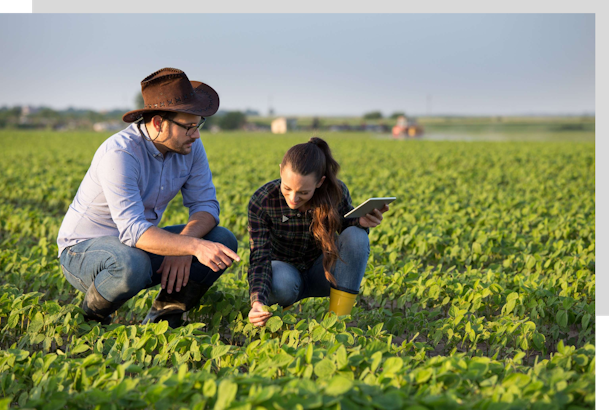 Leaf | Data infrastructure for agriculture